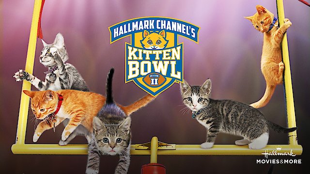 Watch Kitten Bowl II Online