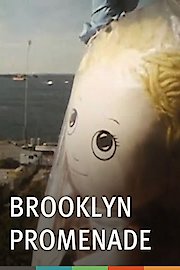 Brooklyn Promenade poster