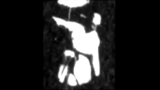 Watch Monkeyshines no.2 Online
