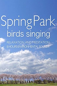 Spring Park Birds singing Relaxation and Meditation 8 hours Environmental sounds