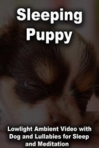Sleeping Puppy Lowlight Ambient Video with Dog and Lullabies