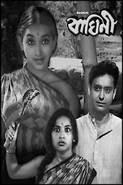 Baghini poster