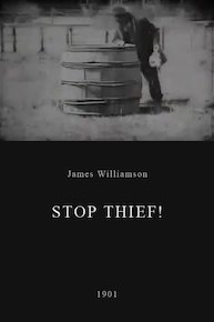 Stop Thief!