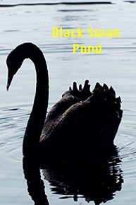 Black Swan Pond