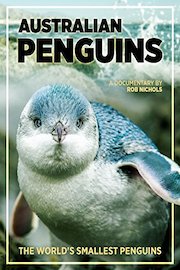Australian Penguins