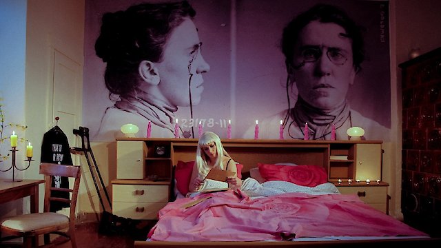 Watch The Misandrists Online