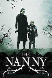 The Nanny poster