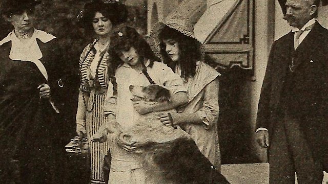 Watch Shep's Race with Death Online