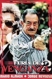 Furia De Venganza II poster