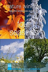 Four Seasons Nature Window