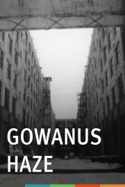 Gowanus Haze poster