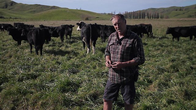 Watch Living the Change: Inspiring Stories for a Sustainable Future Online