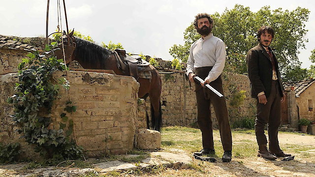 Watch Horses Online