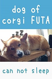 dog of corgi FUTA - can not sleep poster