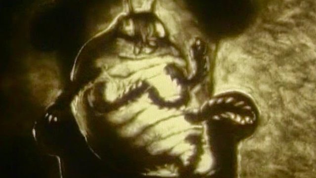 Watch Metamorphosis of Mr. Samsa Online
