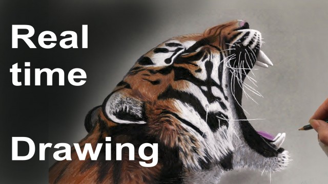 Watch Real Time Drawing of a Yawning Tiger Online