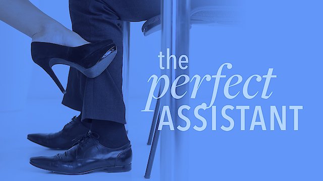 Watch The Perfect Assistant Online