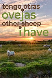 Other Sheep I Have