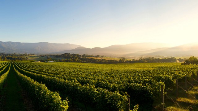 Watch Culinary Travels Discovering Australian Wine Online