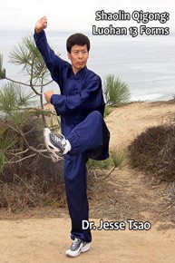 Shaolin Qigong: Luohan 13 Forms
