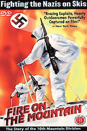 Fire on the Mountain poster