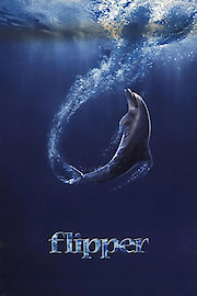 Flipper poster