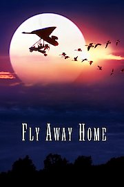Fly Away Home poster