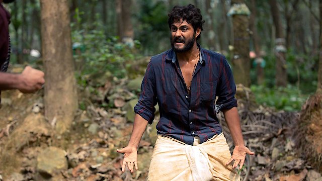 Watch Angamaly Diaries Online