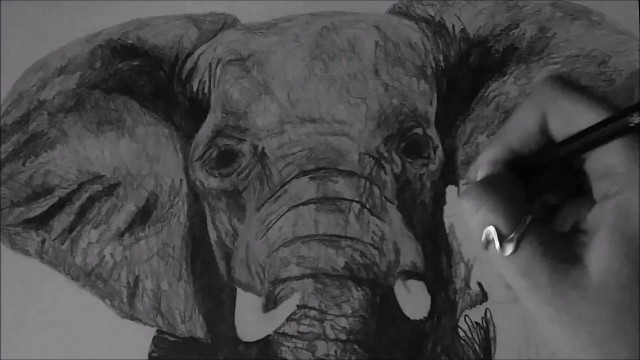 Watch Elephant Real Time Drawing by Jasmina Susak Online
