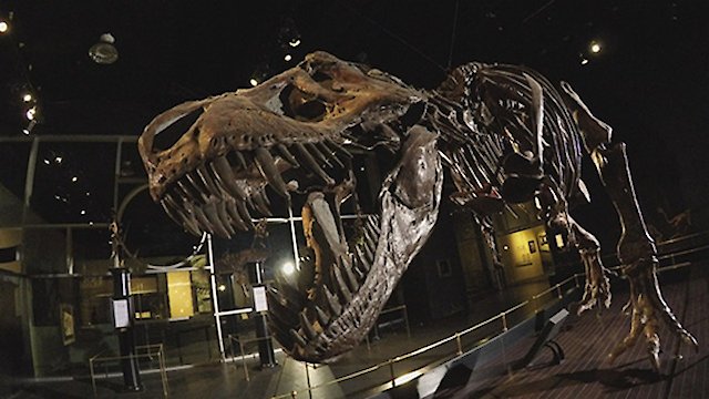 Watch Dinosaur Extinction: Behind the Asteroid Impact Theory Online