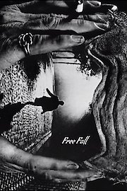 Free Fall poster