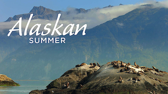 Watch Alaskan Summer Online