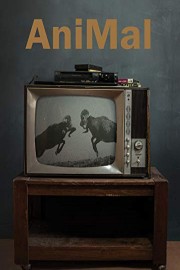 Animal poster