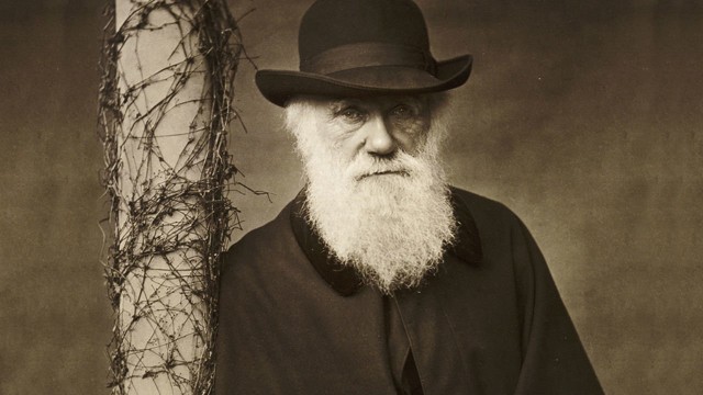 Watch Questioning Darwin Online