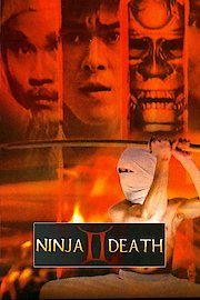 Ninja Death ll poster