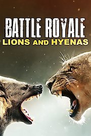 Battle Royale: Lions and Hyenas