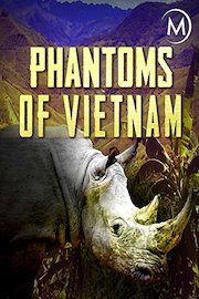 Phantoms of Vietnam