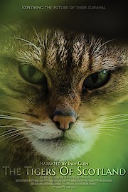 The Tigers of Scotland poster