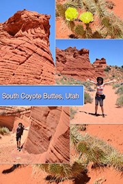 South Coyote Buttes, Utah