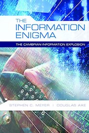 The Information Enigma