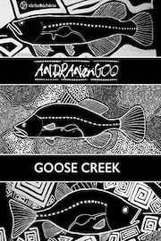 Andranangoo - Goose Creek