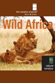 Wild Africa