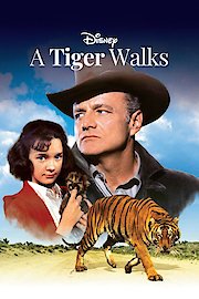A Tiger Walks poster
