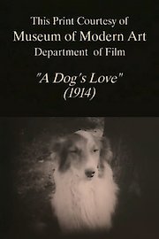 A Dog's Love poster