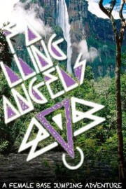 Falling Angels poster