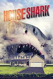 House Shark poster