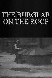 The Burglar on the Roof poster