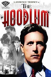 Hoodlum poster