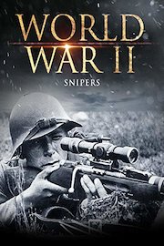 World War II: Snipers poster