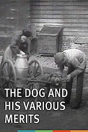 The Dog and His Various Merits